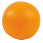 Balon portobello - Imagen 9