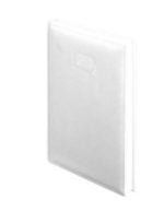 AGENDA CANNES - Imagen 7