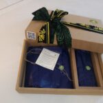 Give Away Panameniam Vip